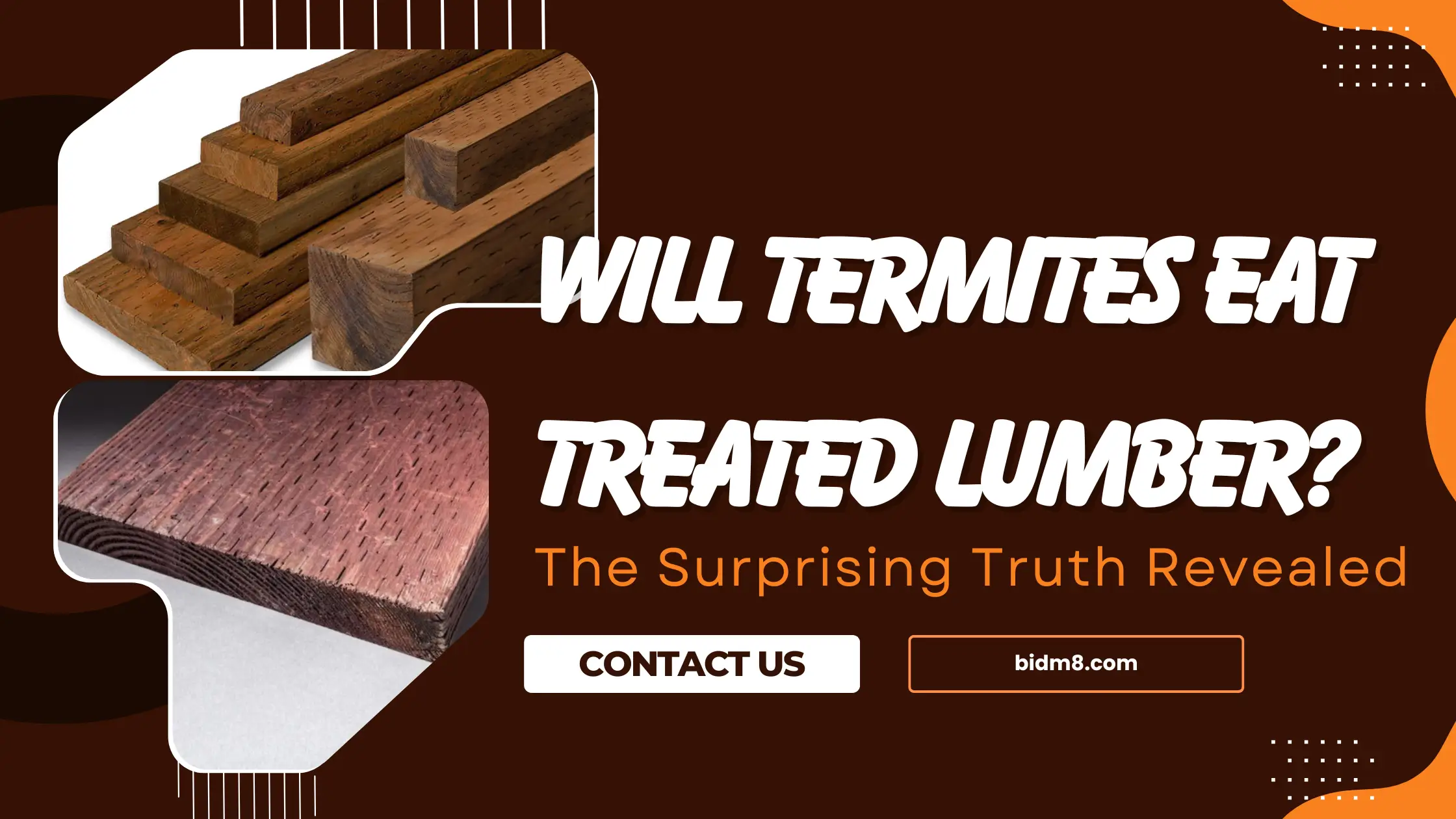 Will Termites Eat Treated Lumber?